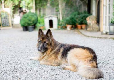 Apollo Protecting his Gloster House